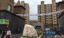 长春小区最新爆料,揭秘神秘事件背后的真相